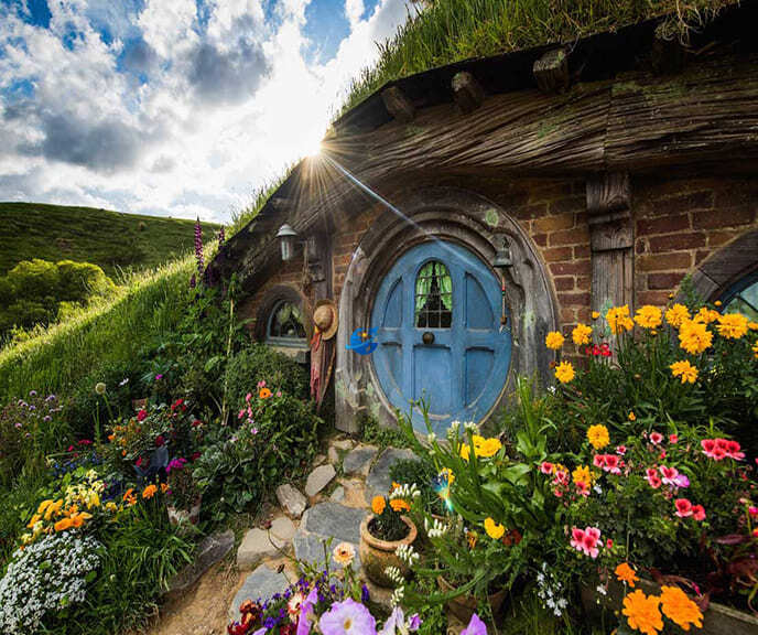 New Zealand Tours